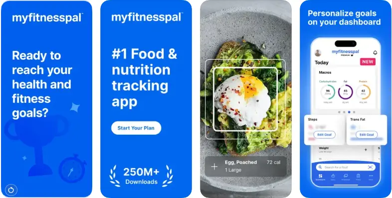 MyFitnessPal- Fitness App Maintenance