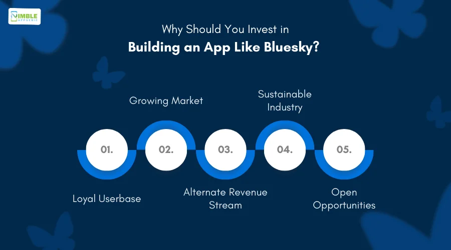 Why Should You Invest in Building an App Like Bluesky