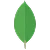 MongoDB