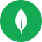 MongoDB