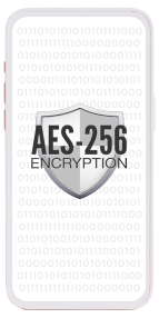 Data Encryption (AES-256)